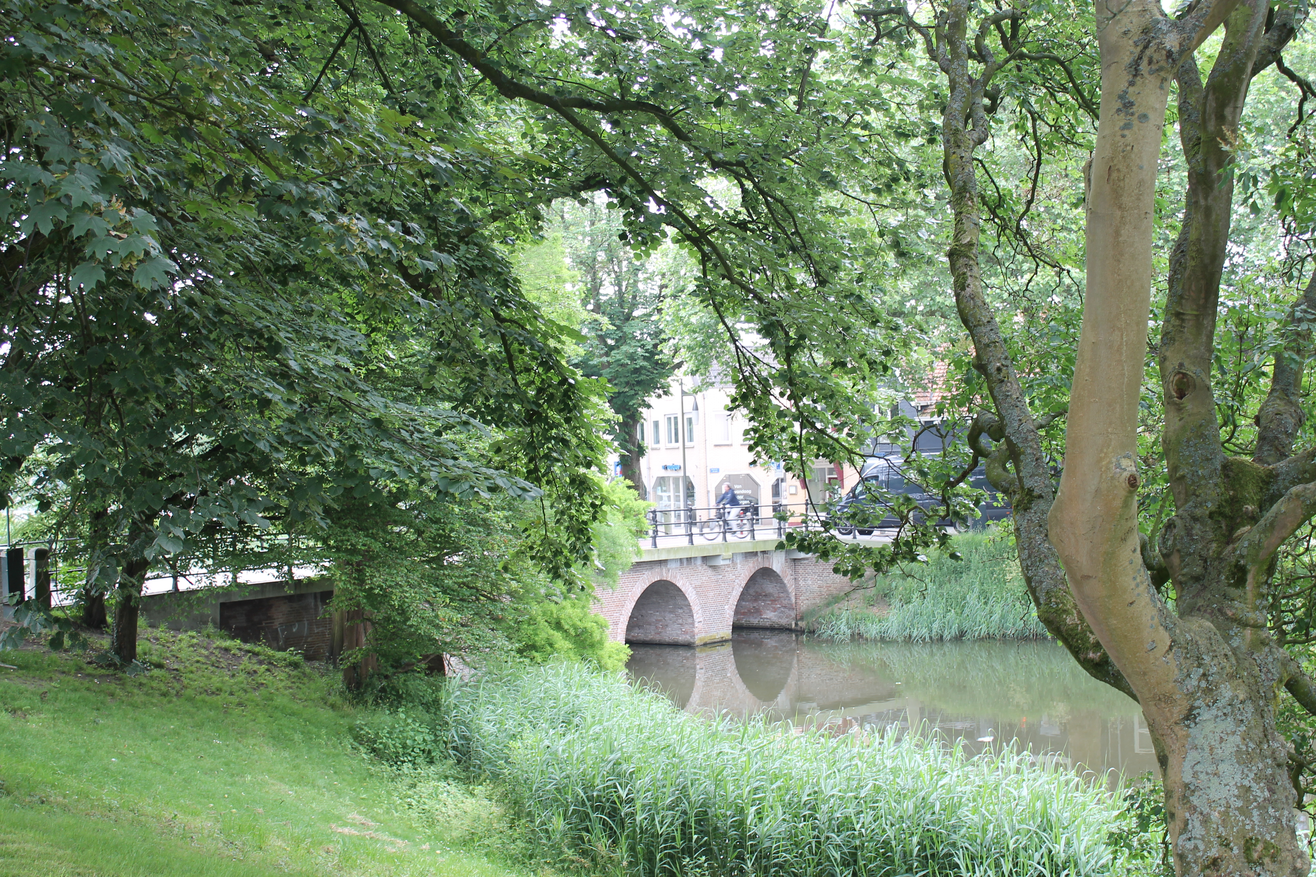 OORZAAK PROBLEMEN WATERKWALITEIT GOESE MEER DEELS BOVEN WATER