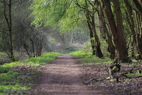 Milieu en Klimaat