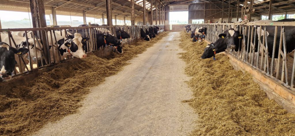 Een “rondje boeren” met de Goese Raad